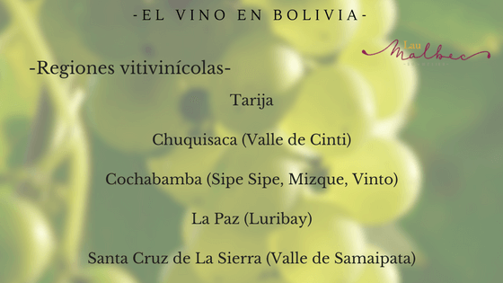 regiones vitivinicolas de  bolivia